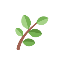 Hadbal Masala for Bones & Muscles health