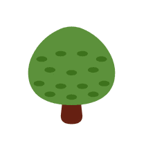 Improves Bones & Muscles health