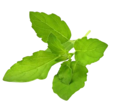 Improve Hormonal Imbalance