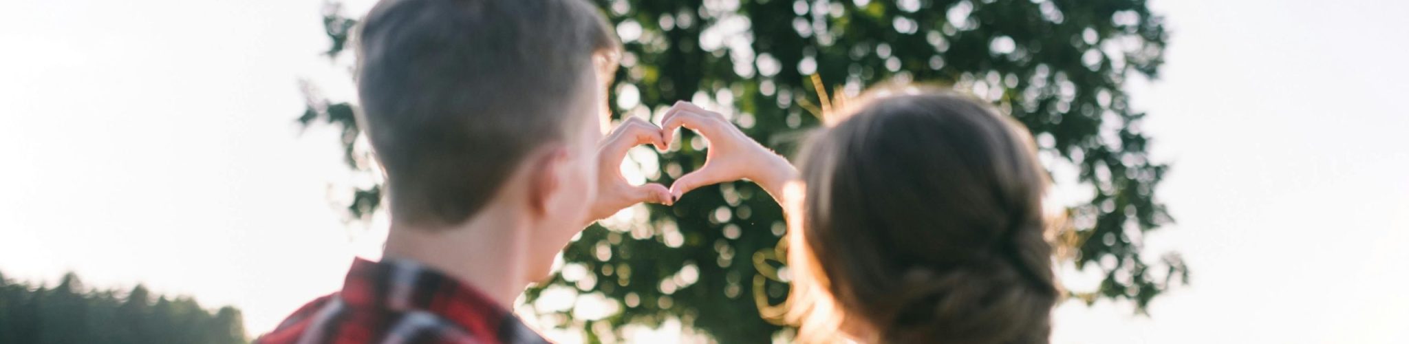 Cardiovascular Wellness